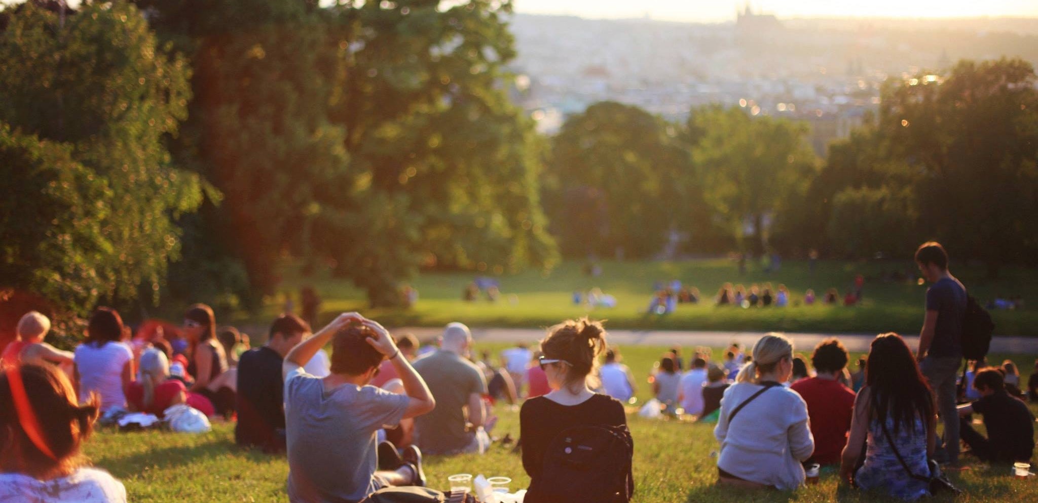 Banner - Hillside.jpg