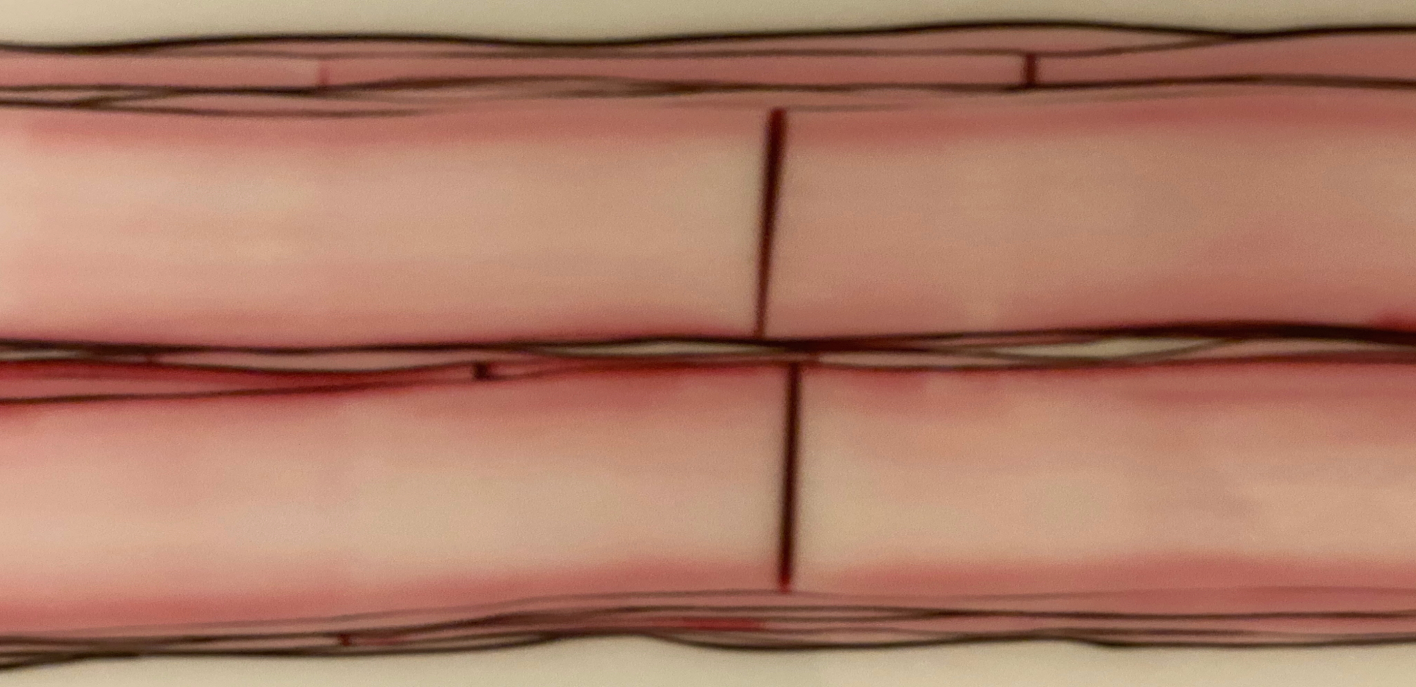 Pink Art Banner.jpg